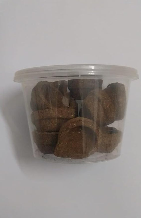 Homemade Panchagavya Gobar Diya | Vilakku or Deepam